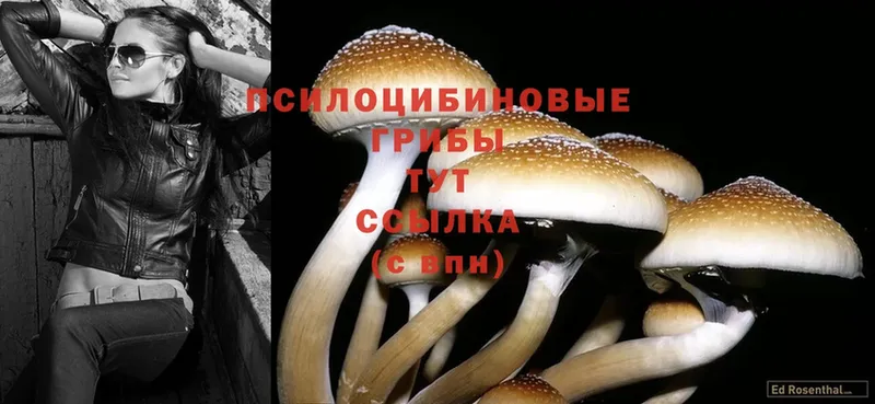 Галлюциногенные грибы MAGIC MUSHROOMS  Усолье 